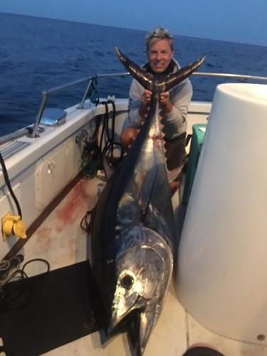 w12-e1547275596827 (1)